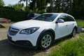 Opel Insignia Basis ecoFlex 4x4/Allrad Weiß - thumbnail 2