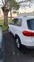 Volkswagen Tiguan Tiguan 2.0 TDI 140 FAP BlueMotion Technology Business - thumbnail 5