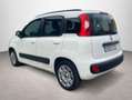 Fiat Panda 1.2 Lounge Blanco - thumbnail 8
