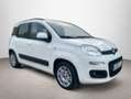 Fiat Panda 1.2 Lounge Blanco - thumbnail 2