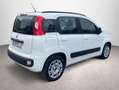 Fiat Panda 1.2 Lounge Blanco - thumbnail 7