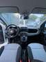 Fiat Panda 1.2 Lounge Blanco - thumbnail 11