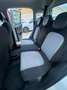 Fiat Panda 1.2 Lounge Blanco - thumbnail 13