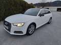 Audi A4 allroad A4 Allroad quattro 2,0 TDI quattro Allroad Grau - thumbnail 5