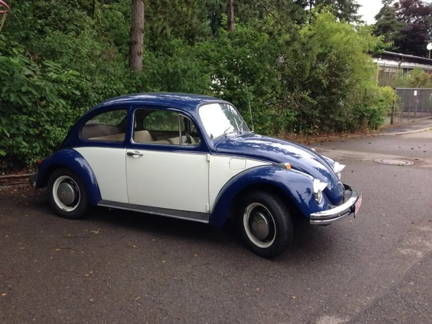 Volkswagen Käfer 1500 Blue - 1