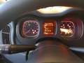 Fiat Panda My24 1.0 70cv Hybrid Panda Cross Blauw - thumbnail 5