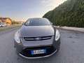 Ford C-Max 1.6 Titanium Gpl 120cv - thumbnail 1
