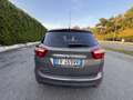 Ford C-Max 1.6 Titanium Gpl 120cv - thumbnail 16