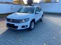 Volkswagen Tiguan 2.0 TDI CUP/Panorama/Parkpilot/Navi Weiß - thumbnail 17