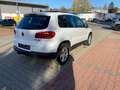 Volkswagen Tiguan 2.0 TDI CUP/Panorama/Parkpilot/Navi Weiß - thumbnail 20