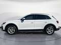 Audi Q5 40 TDI advanced quattro VC PLUS AHK LED ACC Weiß - thumbnail 3