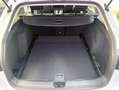 Volkswagen Golf Variant 2.0TDI Life 85kW Blanco - thumbnail 13