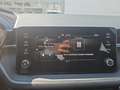 Skoda Fabia Essence - NEUWAGEN 95 PS - nur € 16.999,-* Blau - thumbnail 15