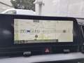 Kia Sportage Sportage 1.6 crdi mhev Business dct Nero - thumbnail 16