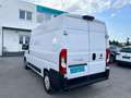 Fiat Ducato  30 L2H2 150 Weiß - thumbnail 6