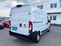 Fiat Ducato  30 L2H2 150 Weiß - thumbnail 4