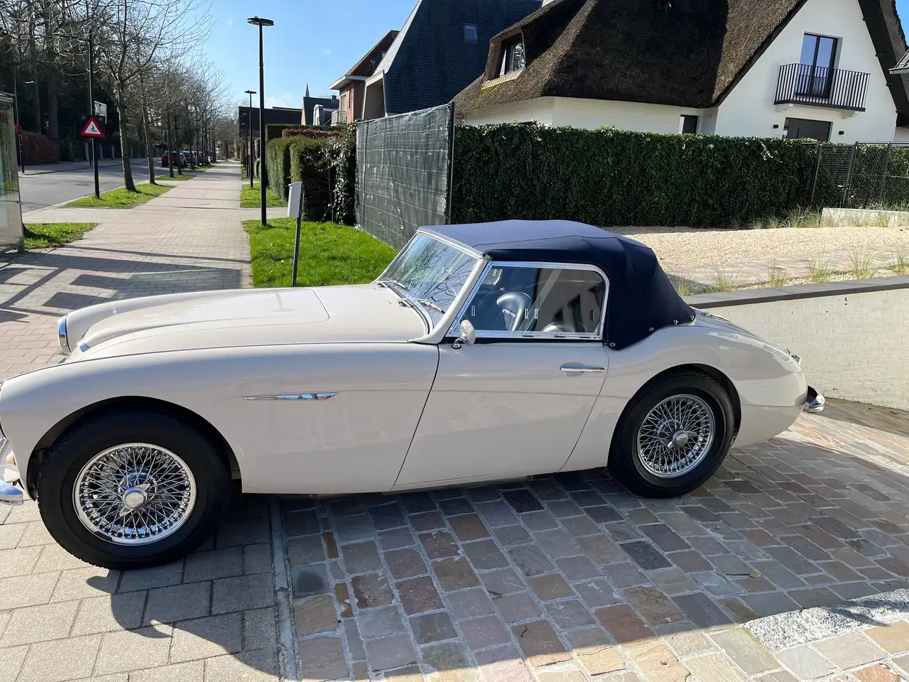 Austin-Healey 3000 Mk1 BN7, foto 5
