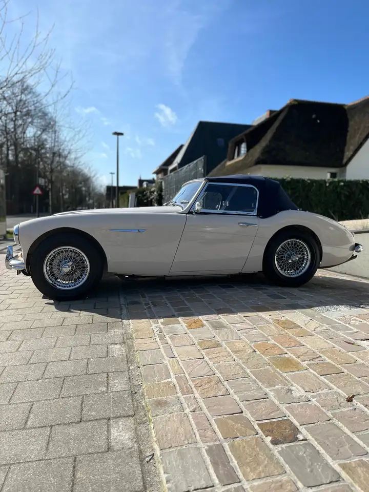 Austin-Healey 3000 Mk1 BN7, foto 3