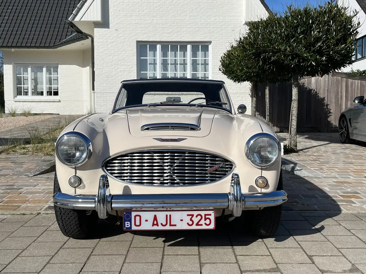 Austin-Healey 3000 Mk1 BN7, foto 10