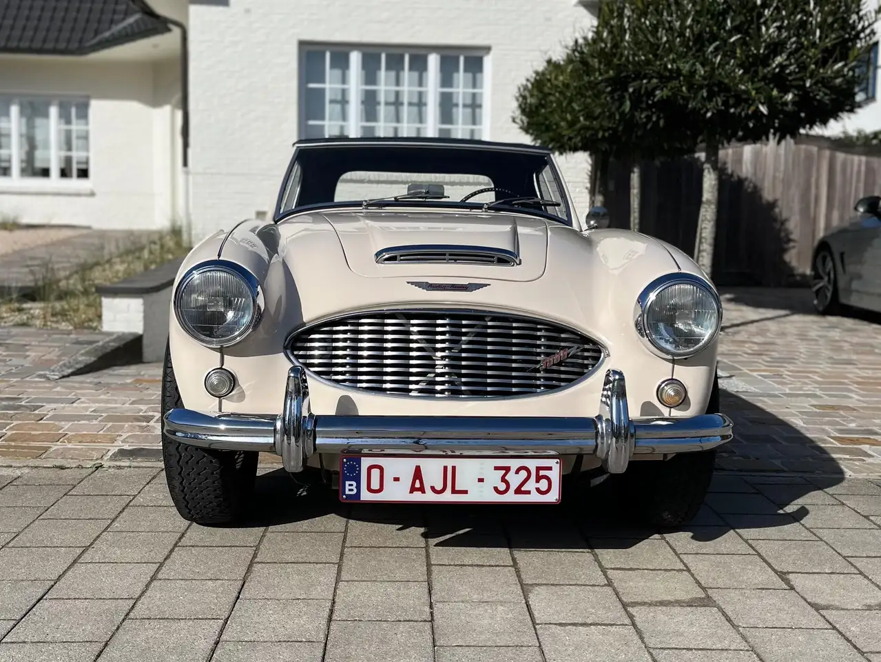 Austin-Healey 3000 Mk1 BN7, foto 9