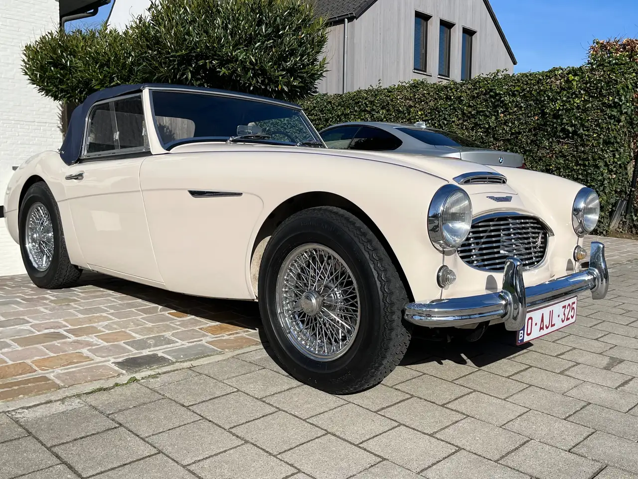 Austin-Healey 3000 Mk1 BN7, foto 8