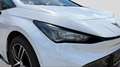 CUPRA Born CUPRA  Born Elektro 58kWh Weiß - thumbnail 14