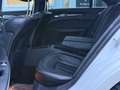 Mercedes-Benz CLS 350 CLS 350 BlueEfficiency Aut. Weiß - thumbnail 15
