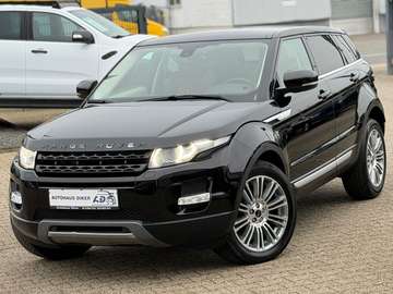 Dynamic Meridian,Pano,Leder