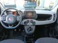Fiat Panda 0.9 T.A Turbo NAT.POW Cross(NAV+SENSORI+CLIMA AUT) Bianco - thumbnail 13