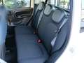 Fiat Panda 0.9 T.A Turbo NAT.POW Cross(NAV+SENSORI+CLIMA AUT) Bianco - thumbnail 7