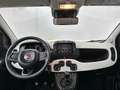 Fiat Panda 1.0 Hybrid 70 PANDINA Jaune - thumbnail 18