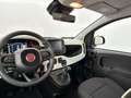 Fiat Panda 1.0 Hybrid 70 PANDINA Jaune - thumbnail 19