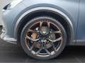 CUPRA Formentor 2.0 TSI DSG VZ5 4Drive CUP Leder Beats Blau - thumbnail 8