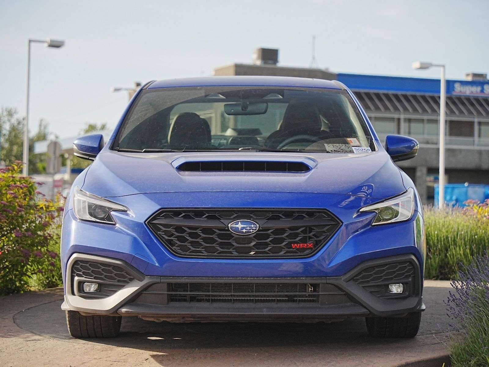2025 Subaru WRX Sport-tech — photo 1
