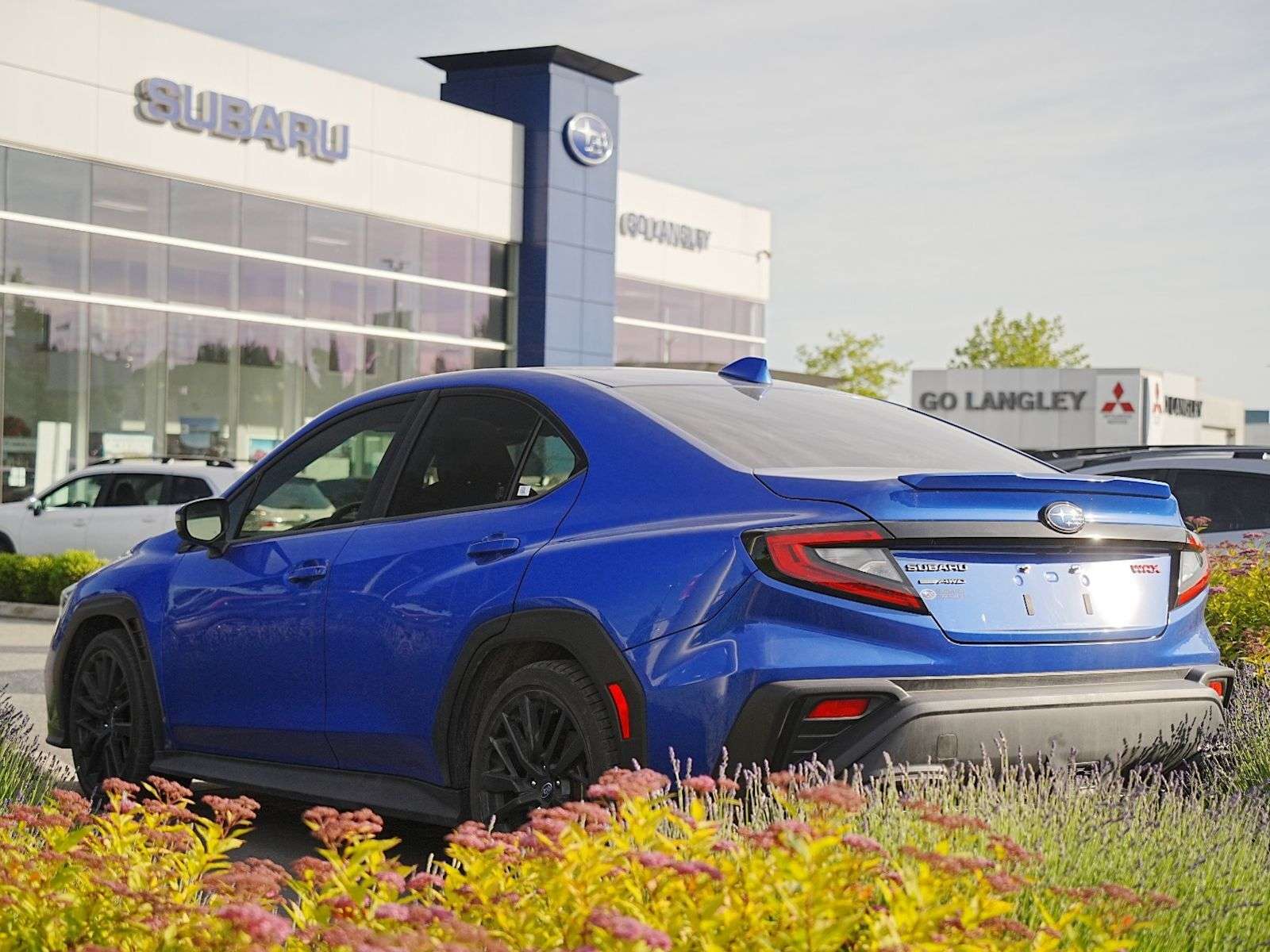 2025 Subaru WRX Sport-tech — photo 1