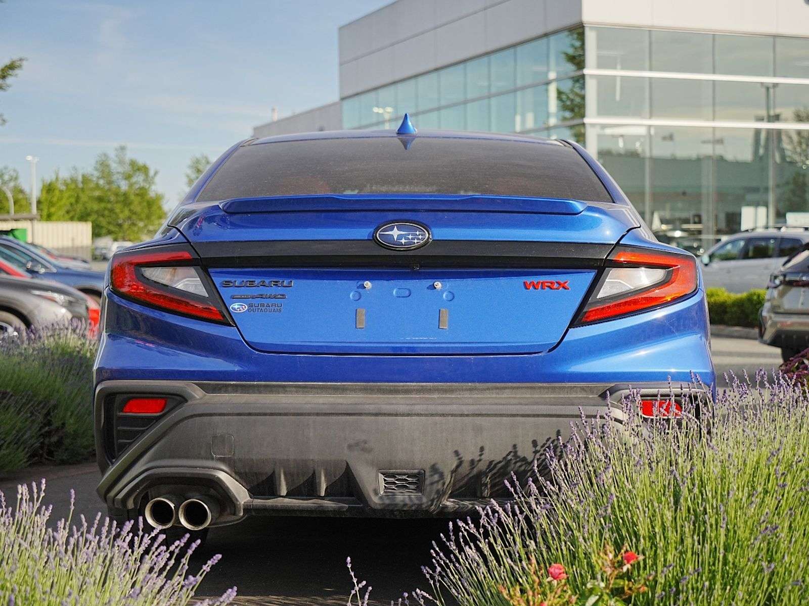 2025 Subaru WRX Sport-tech — photo 1