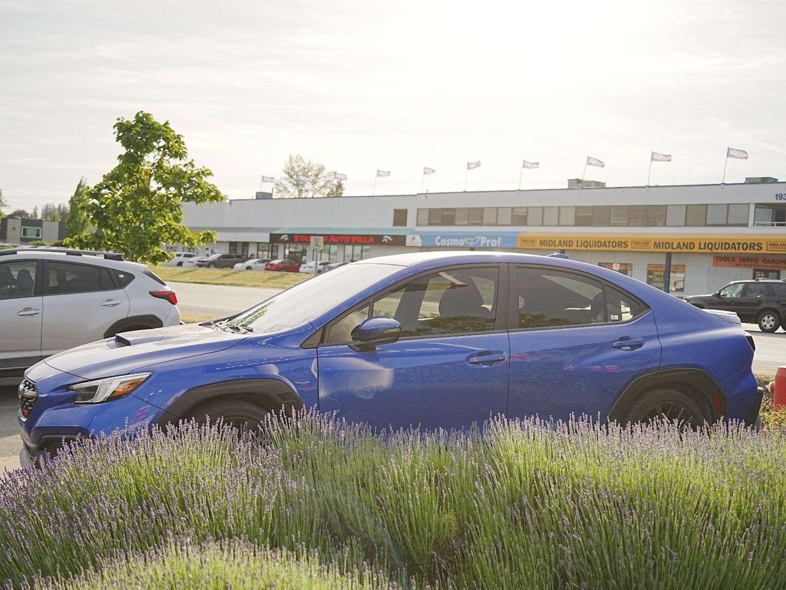 2025 Subaru WRX Sport-tech — photo 1