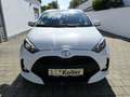 Toyota Yaris 1.5 VVT-iE Automatik Comfort Cam SHZ Alu Bianco - thumbnail 5
