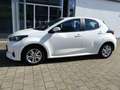 Toyota Yaris 1.5 VVT-iE Automatik Comfort Cam SHZ Alu Bianco - thumbnail 3