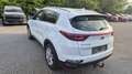Kia Sportage 1,6 TGDI AWD First Edition Weiß - thumbnail 5