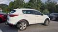 Kia Sportage 1,6 TGDI AWD First Edition Weiß - thumbnail 3