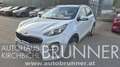 Kia Sportage 1,6 TGDI AWD First Edition Weiß - thumbnail 1
