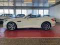 Mercedes-Benz SLK 350 BlueEfficiency White - thumbnail 5