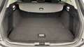Ford Focus 1.0 Flexifuel mHEV 125ch Titanium X Business - thumbnail 14