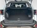 Kia Sportage 1.6T 48V 2WD Ultimate Edition  KLIMA + NAVI+ SITZE Weiß - thumbnail 12