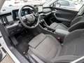 Skoda Kodiaq Selection 4x4 2.0TDI DSG LED Navi RFK AHK Weiß - thumbnail 11