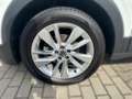 Volkswagen T-Cross 1.0 TSI LIFE *AHK *LED *ACC *VIRTUAL *APP *NAVI * Weiß - thumbnail 7