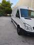 Mercedes-Benz Sprinter Sprinter Ch.DCb. 313CDI Largo Blanco - thumbnail 3