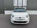 Fiat 500 1.0i MHEV, sensoren, Pano dak,Carplay, Autom airco Blanc - thumbnail 2