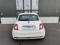 Fiat 500 1.0i MHEV, sensoren, Pano dak,Carplay, Autom airco Blanc - thumbnail 4